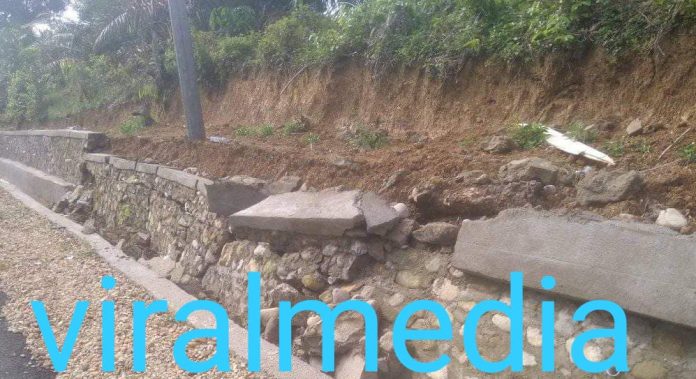 BELUM SEUMUR JAGUNG SUDAH HANCUR